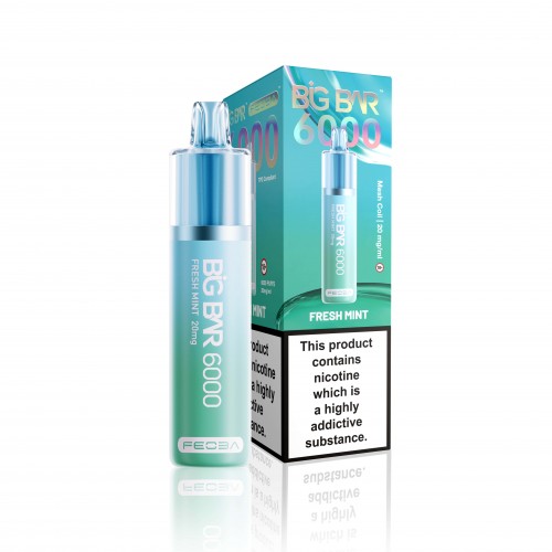 Feoba Big Bar 6000 Rechargeable Pod Kit [Fresh Mint 20mg]