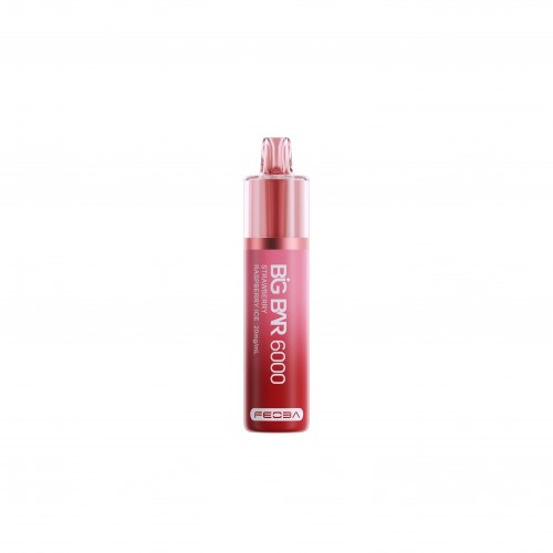 Feoba Big Bar 6000 Rechargeable Pod Kit [Strawberry Raspberry Ice 20MG]
